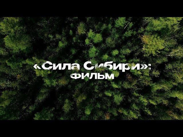 «Сила Сибири»: ФИЛЬМ