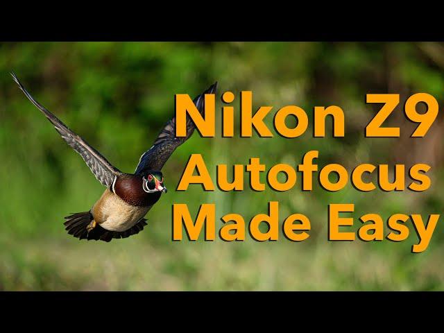 Nikon Z9 Autofocus Made Easy