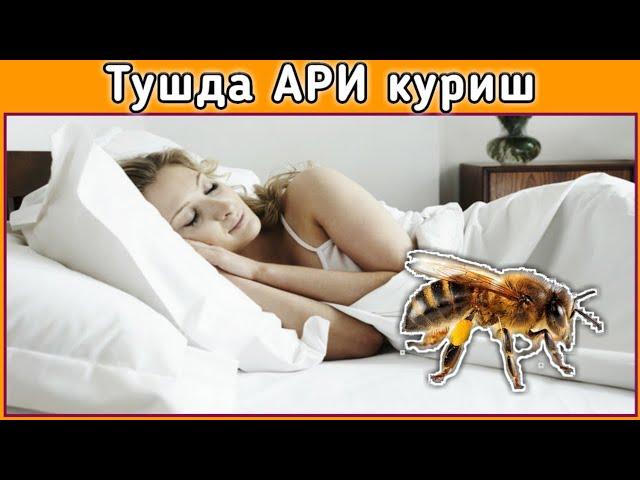 Тушда АРИ куриш туш таьбири || Tushda ARI ko'rish tush tabiri