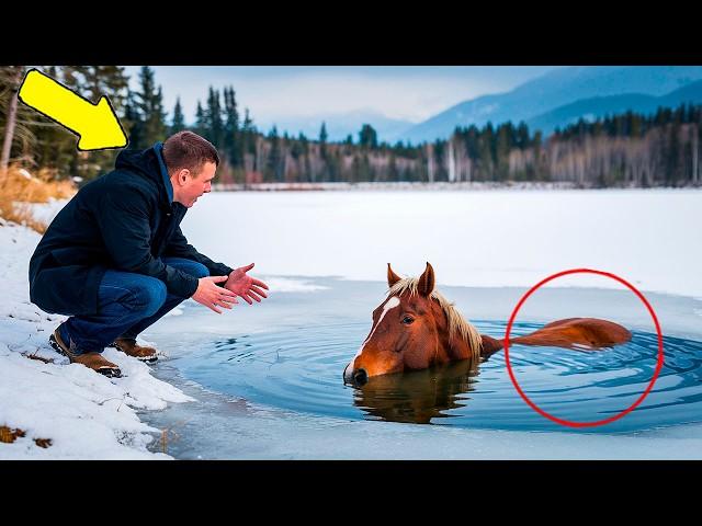 Horse Refuses to Leave Freezing Lake, His Owner Turned Pale When He Found Out Why...