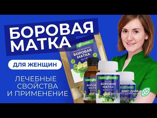 Боровая матка для женщин: лечебные свойства, как принимать, боровая матка+красная щетка, где купить