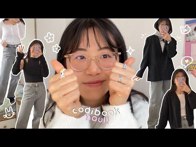 codibook try-on haul + review | korean fashion that ships fast?!!??