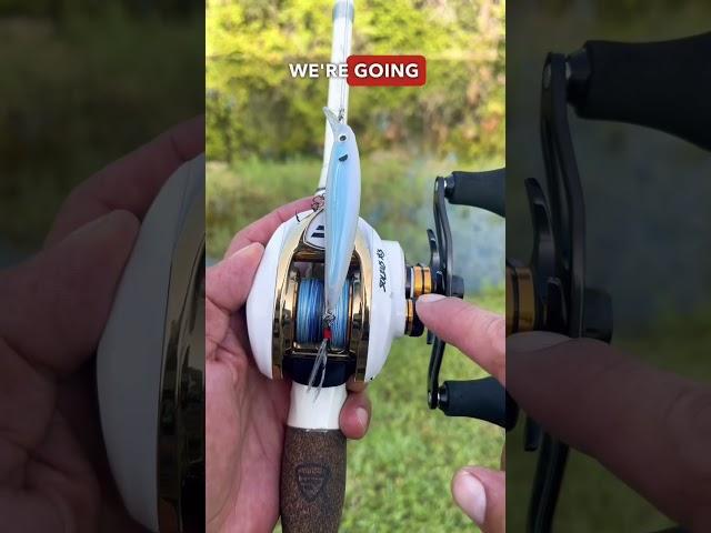 How to set your baitcaster for beginners #urbanfloridafishing #howto #fishingtutorial #fishingvideo