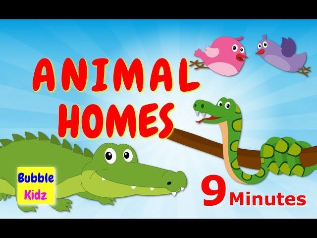 Learn About Different Animal Names And Homes | Animal Names And Homes For Kids