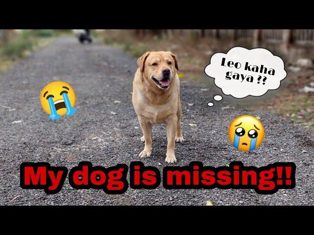 leo kahi chala gya | Real video | worst feeling | yeh kya hogya yrr | Anant rastogi