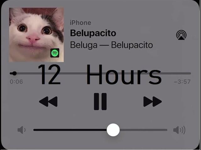 Beluga- Belupacito (Official Audio) 12 Hours