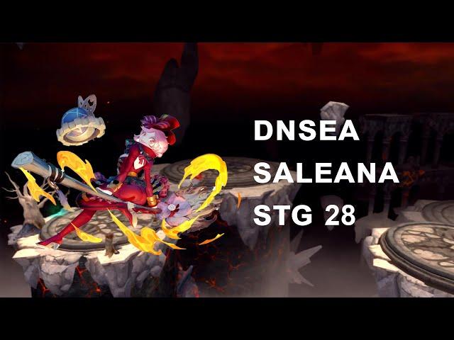 DNSEA Saleana STG28