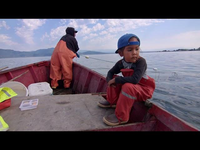 TRAILER 3 Scha'nexw Elhtal'nexw Salmon People: Preserving a Way of Life