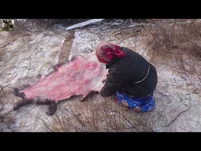 Оленеводство на крайнем Севере / Reindeer herders of Yamalo-Nenets AO