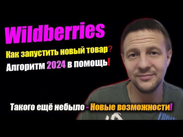 Когда запускать новый товар на Wildberries? Алгоритм 2024 в помощь! 4 пункта для успешного старта