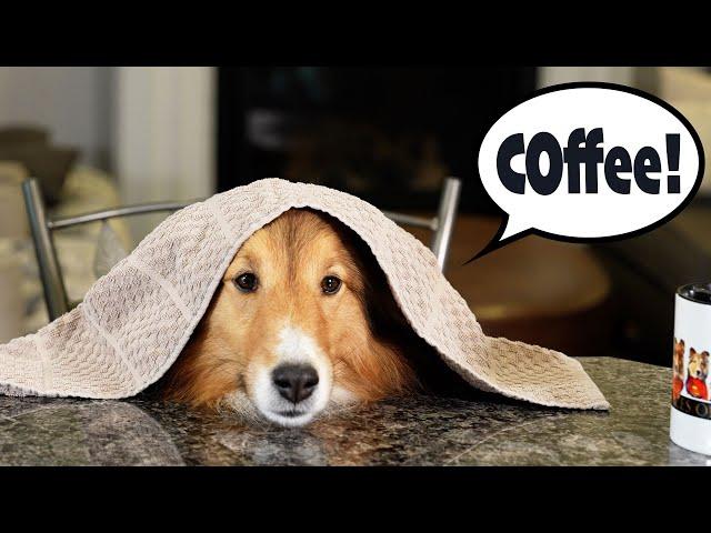 My COFFEE needs COFFEE! ️ e377