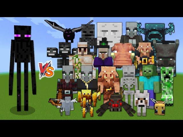 Enderman vs Every mob in Minecraft (Java Edition) - Minecraft 1.19 Enderman vs All Mobs