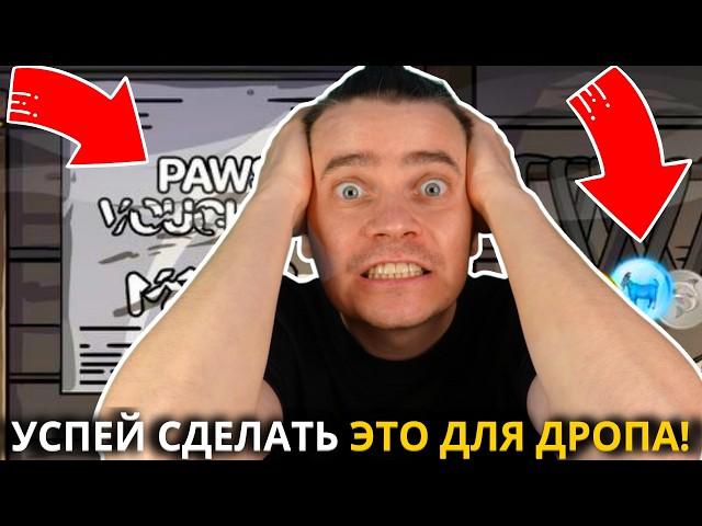 ️ PAWS 🟢 СРОЧНО! 🟢 УСПЕЙ СДЕЛАТЬ ЭТО ДЛЯ ДРОПА! НАС ЖДЕТ ЗАПУСК ВАУЧЕРОВ! И ТОЛЬКО ПОСЛЕ ЛИСТИНГ!!!