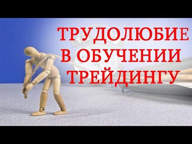 Трудолюбие при обучении трейдингу! Система трейдинга!