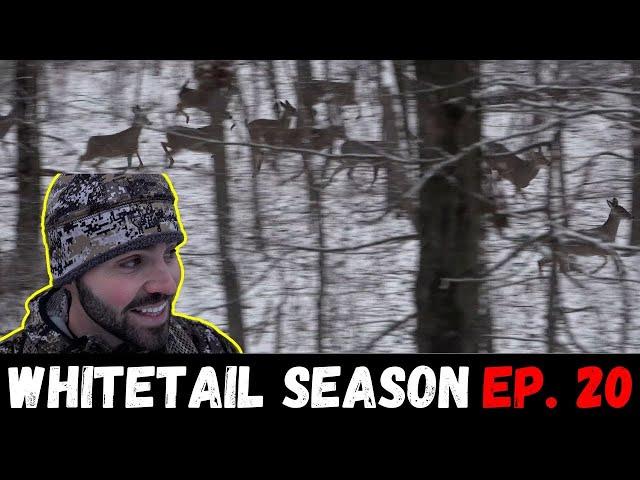 Late Season Deer Hunting in Fresh Snow! (MOTHERLOAD of Deer)