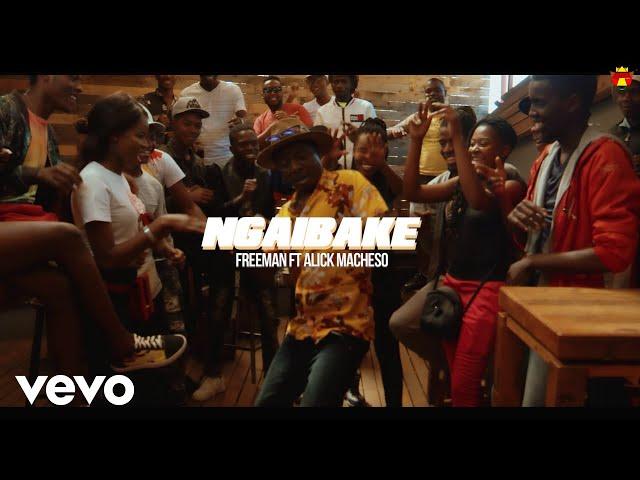 Freeman - Ngaibake (Official Video) ft. Alick Macheso