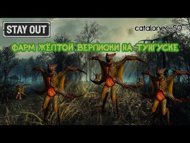 Stay Out Фарм жёлтой верлиоки на Тунгуске Stalker Online