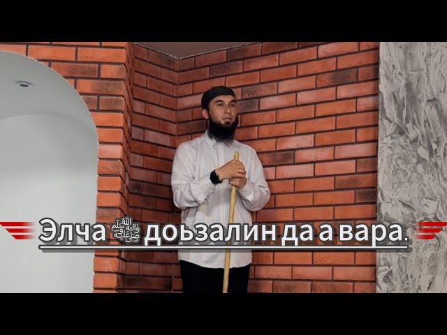 Элча ﷺ доьзалин да а вара. 6