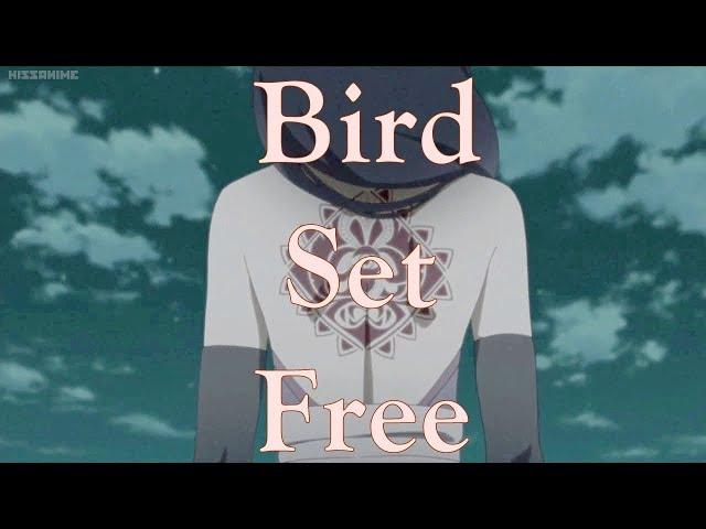 Sumire Kakei 「ＡＭＶ」|  Bird Set Free