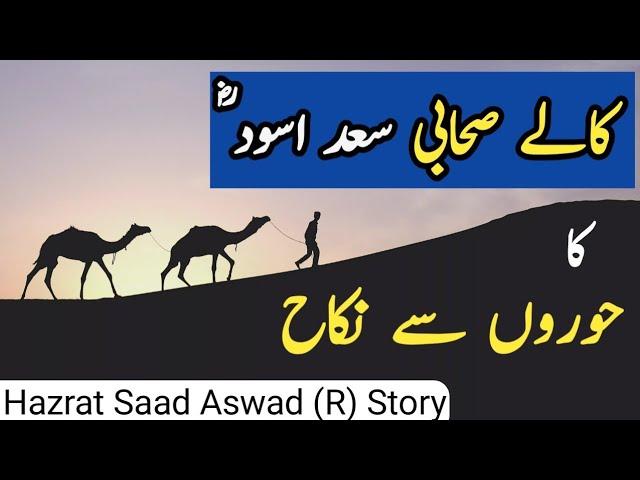 Hazrat Saad Aswad RA | Hazrat Saad Aswad ka Hooron sy Nikah | Amazing Story of Hazrat Saad al Aswad