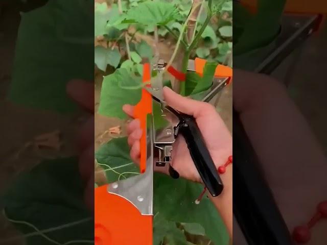 Easily Tie Branches with This Handy Garden Tool#GardeningTools #GardenHacks #BranchTying #GardenTips