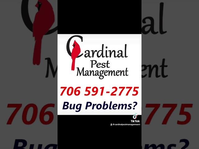 Pest Control Rockmart Ga