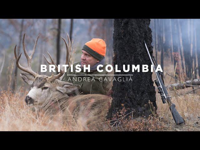 British Columbia | Hunting Moose and Mule Deer