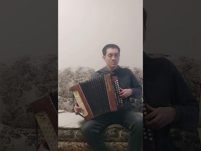 Чистые пруды (на гармошке)