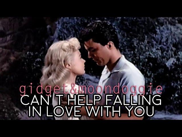 Gidget & Moondoggie | Can't Help Falling In Love With You