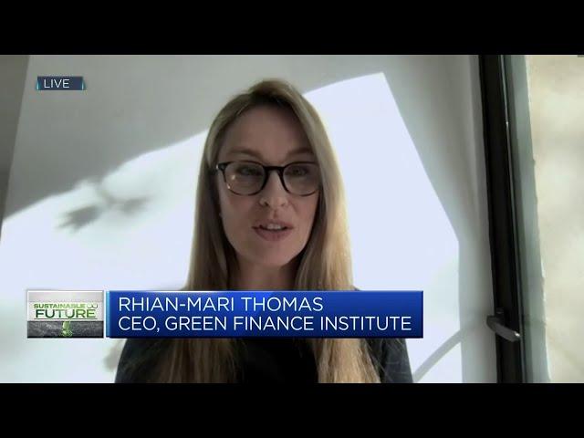 Inflation Reduction Act is an 'absolute game-changer,' says Green Finance Institute CEO