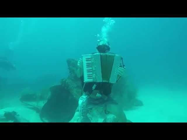 playing accordion under water