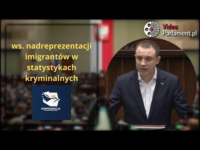 Konfederacja - ws. nadreprezentacji imigrantów w statystykach kryminalnych