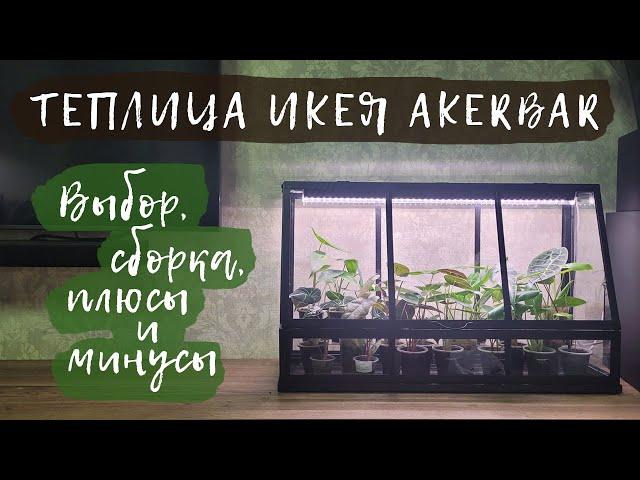 Теплица ИКЕЯ AKERBAR | Выбор, сборка, плюсы и минусы