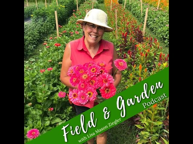 #93: Growing Lilies with Val Schirmer