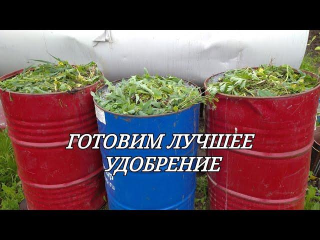 ГОТОВИМ ЛУЧШЕЕ УДОБРЕНИЕ