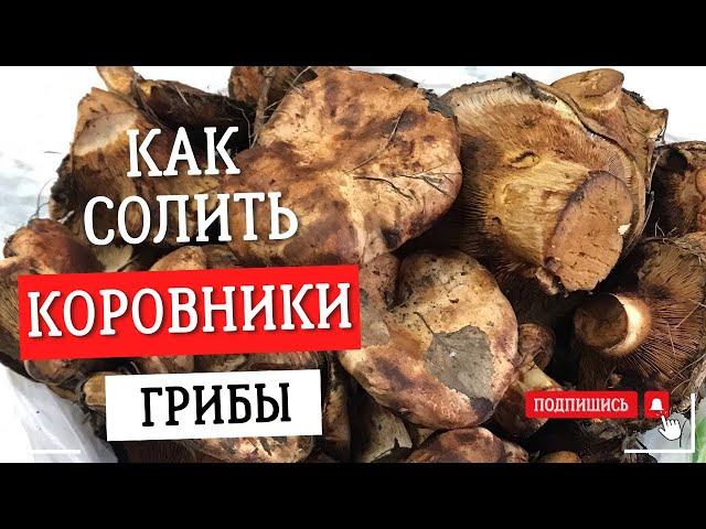 ГОТОВЛЮ ГРИБЫ КОРОВНИКИ #смачненько #грибы