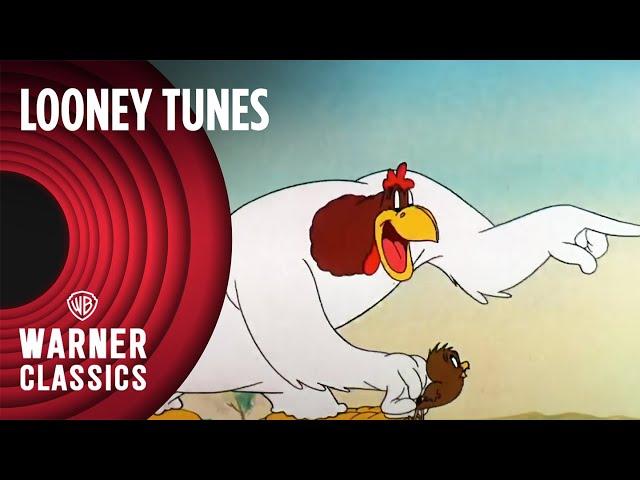 Looney Tunes | Walky Talky Hawky (1946 Full Episode) | Warner Classics