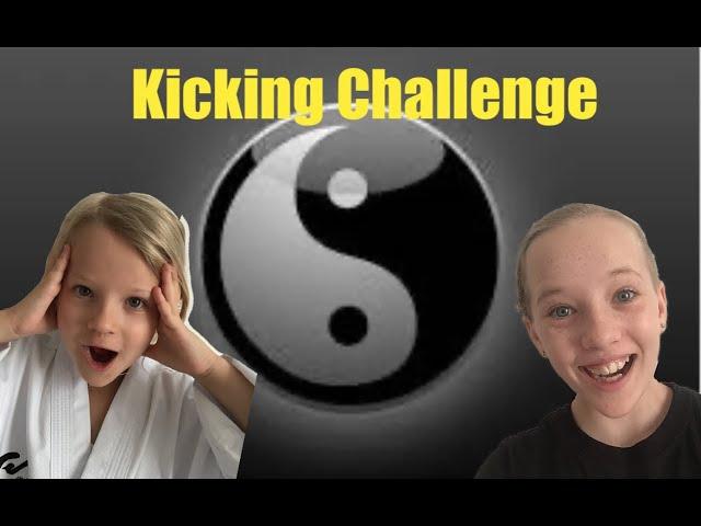 How much Kicks can you do without falling Challenge!