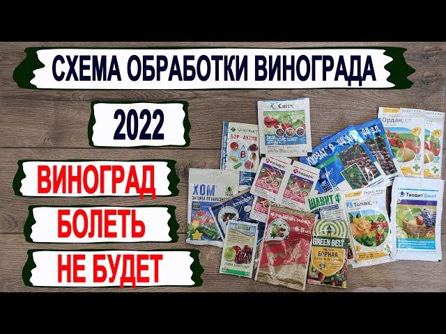  Виноград болеть не будет. Рабочая СХЕМА ОБРАБОТКИ от основных болезней из ДОСТУПНЫХ ПРЕПАРАТОВ.