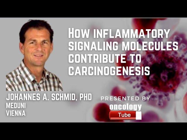 How Inflammatory Signaling Molecules Contribute To Carcinogenesis