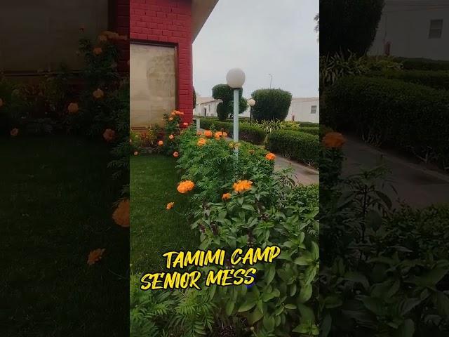 TAMIMI CAMP JUBAIL #shorts