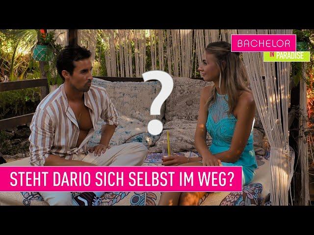 Team Yve oder Team Dario? I Bachelor In Paradise