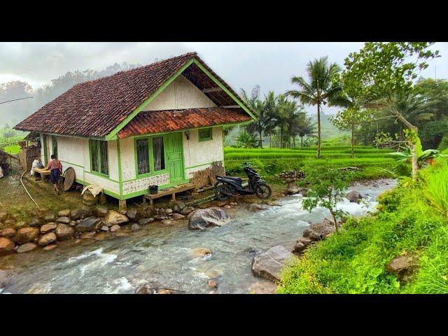 DIJAMIN BETAH MENIKMATI HIDUP DI KAMPUNG YANG INDAH ALAM DESANYA, SUASANANYA ADEM, AYEM & TENTRAM