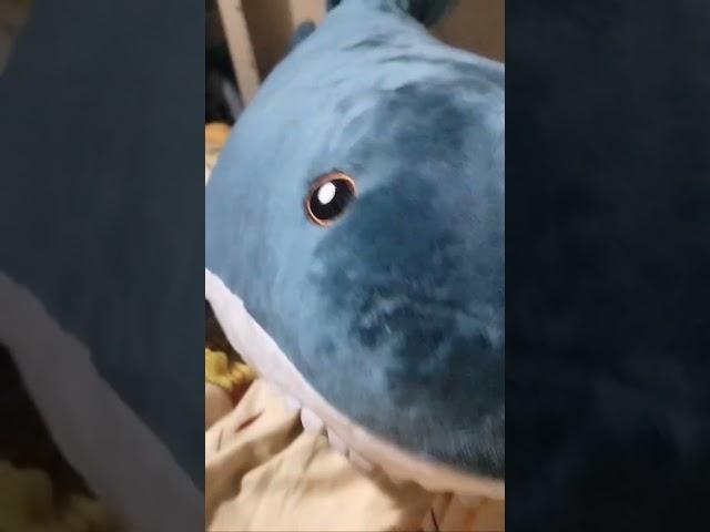 POV:you get shark v5