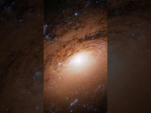 The Breathtaking Beauty of NGC 3628! #shorts