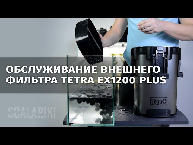 Как я обслуживаю внешний фильтр Tetra ex1200 plus. Видео-ответ Виталию Green Art