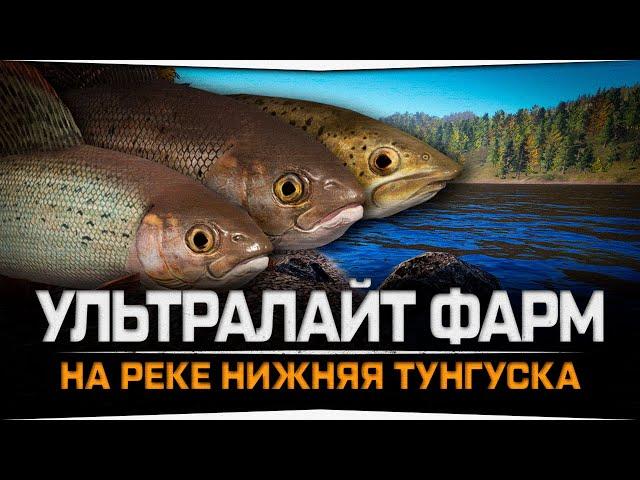 Ультралайт фарм • р  Нижняя Тунгуска • Русская Рыбалка 4