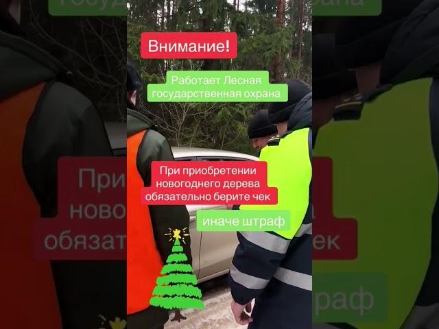будьте внимательны!  #беларусь #подпишись #прессцентр #новыйгод