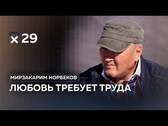 Мирзакарим Норбеков: «Мудрец и подлец во многом схожи»