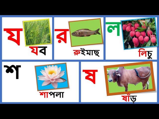 ব্যঞ্জনবর্ণ (য র ল শ ষ) দিয়ে শব্দ গঠন  Class No-13 part-6 || SI Kids Zone